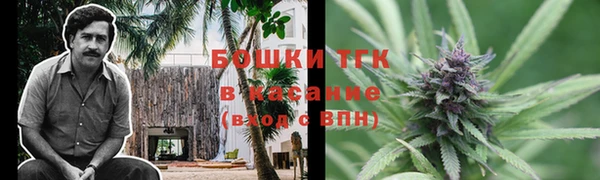 молекула духа Дмитровск