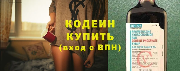 дурь Гусев
