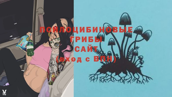 mdpv Бикин