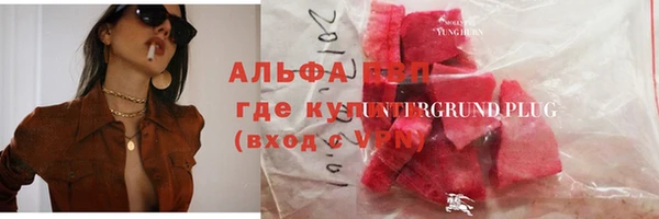индика Беслан